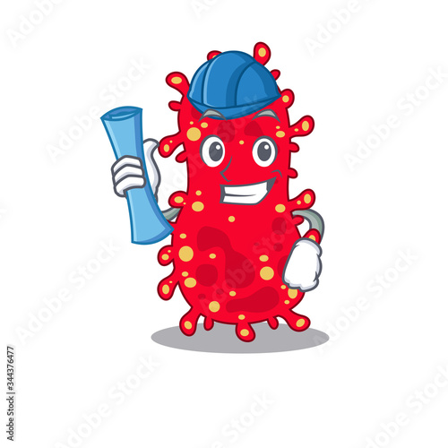 Cartoon character of moraxella brainy Architect with blue prints and blue helmet