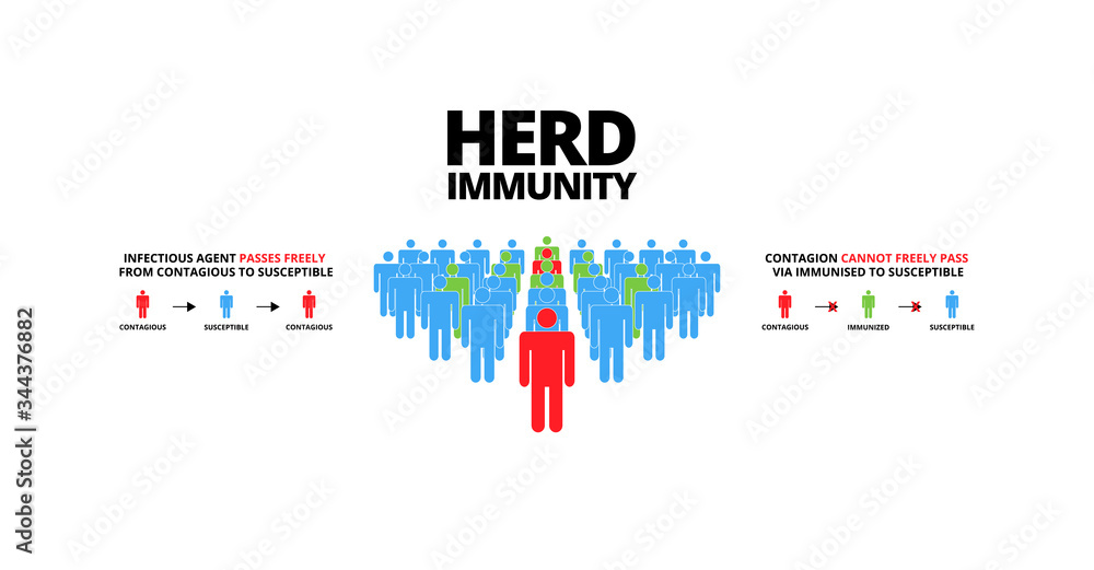 Group of people with Herd immunity text.Concept of herd immunity or a group of people who are infected with the infected person as a virus spread in society.Vector illustration.Flat style infographic. Group of people with Herd immunity text.Concept of herd immunity or a group of people who are infected with the infected person as a virus spread in society.Vector illustration.Flat style infographic.