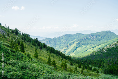 Beautiful aerial view to green forest hillside and great mountains. Awesome minimalist alpine landscape. Wonderful vivid scenery with forest mountainside. Scenic highlands nature with coniferous trees