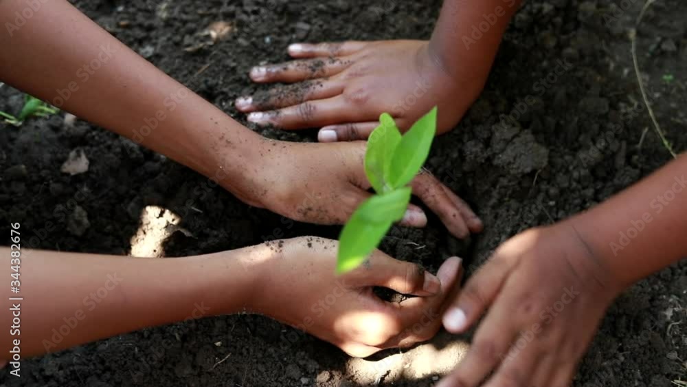 Slow motion group of hand child a planting new tree in the forest, Concept of people Save the earth, save the world, save planet, ecology concept Slow motion group of hand child a planting new tree in the forest, Concept of people Save the earth, save the world, save planet, ecology concept
