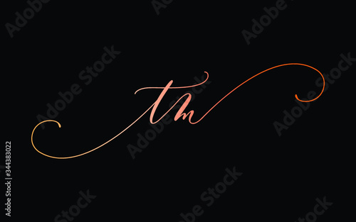 tm or t, m Lowercase Cursive Letter Initial Logo Design, Vector Template
