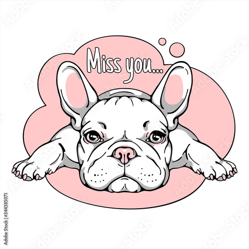 Cute cartoon french bulldog. Miss you illustration