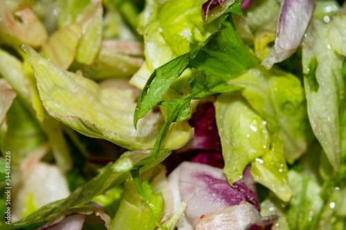 Cut leaf lettuce surface texture. Close up. Background image. photo