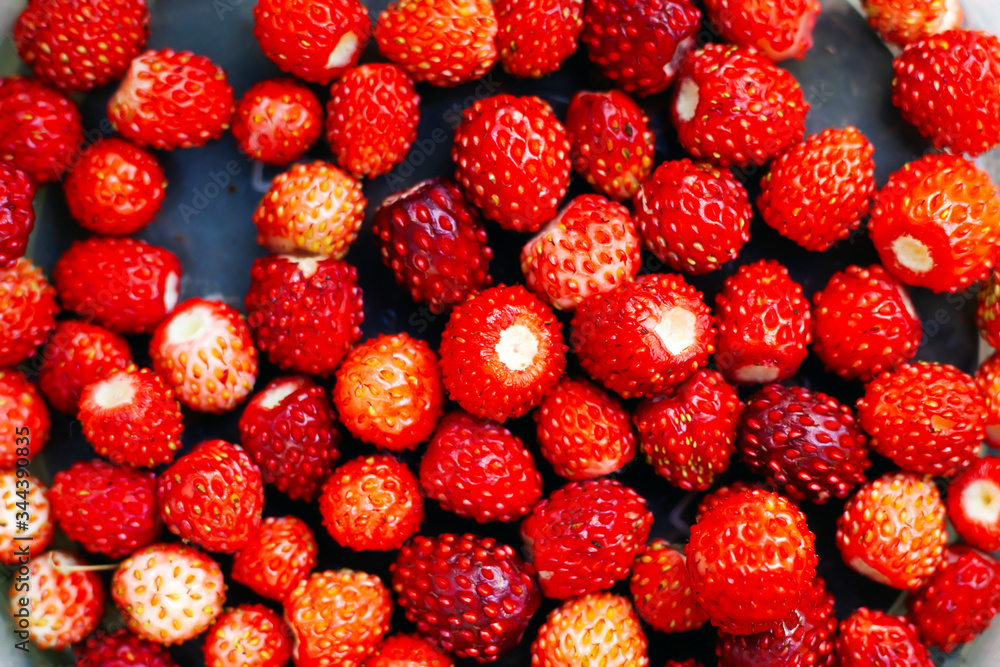 forest seasonal berries, red ripe juicy wild strawberries close-up