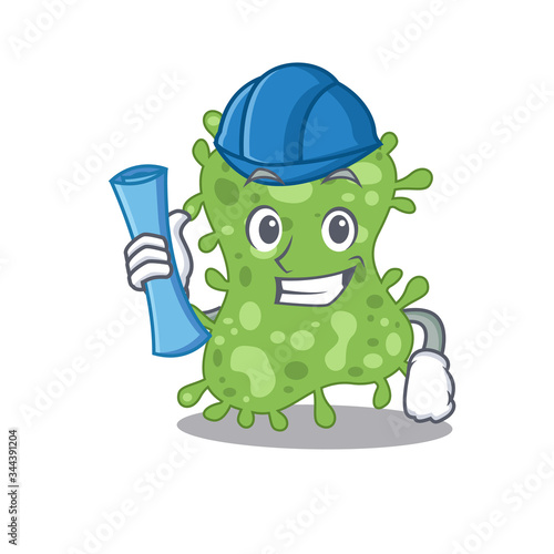 Cartoon character of salmonella enterica brainy Architect with blue prints and blue helmet