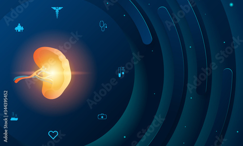 Human spleen and treatment science technology concept. Future science technology abstract background. A concept hospital for wallpaper and web.