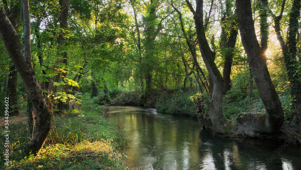 Obraz premium Mountain River in the wood