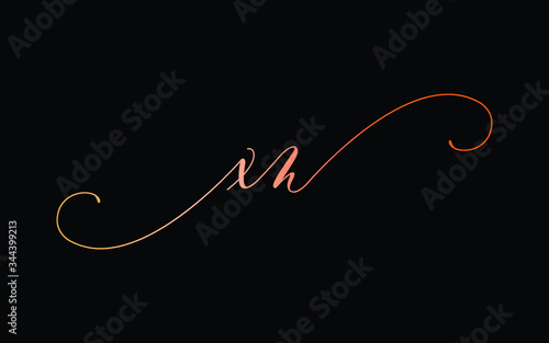 xn or x, n Lowercase Cursive Letter Initial Logo Design, Vector Template