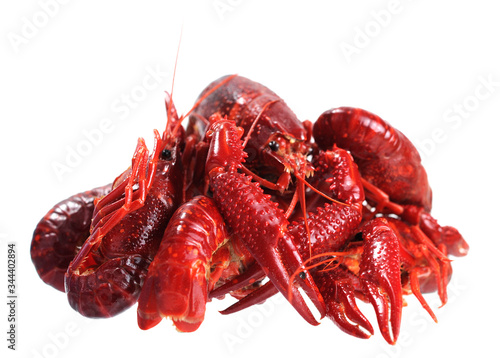 Obraz na plátne boiled craw fish