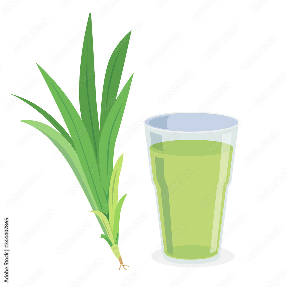 A glass of pandanus juice and fresh pandanus. A glass of pandanus juice and fresh pandanus.