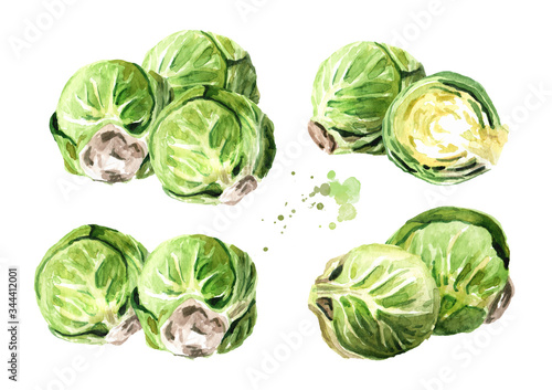 Heap of Brussels sprouts set. Hand drawn watercolor illustration isolated on white background