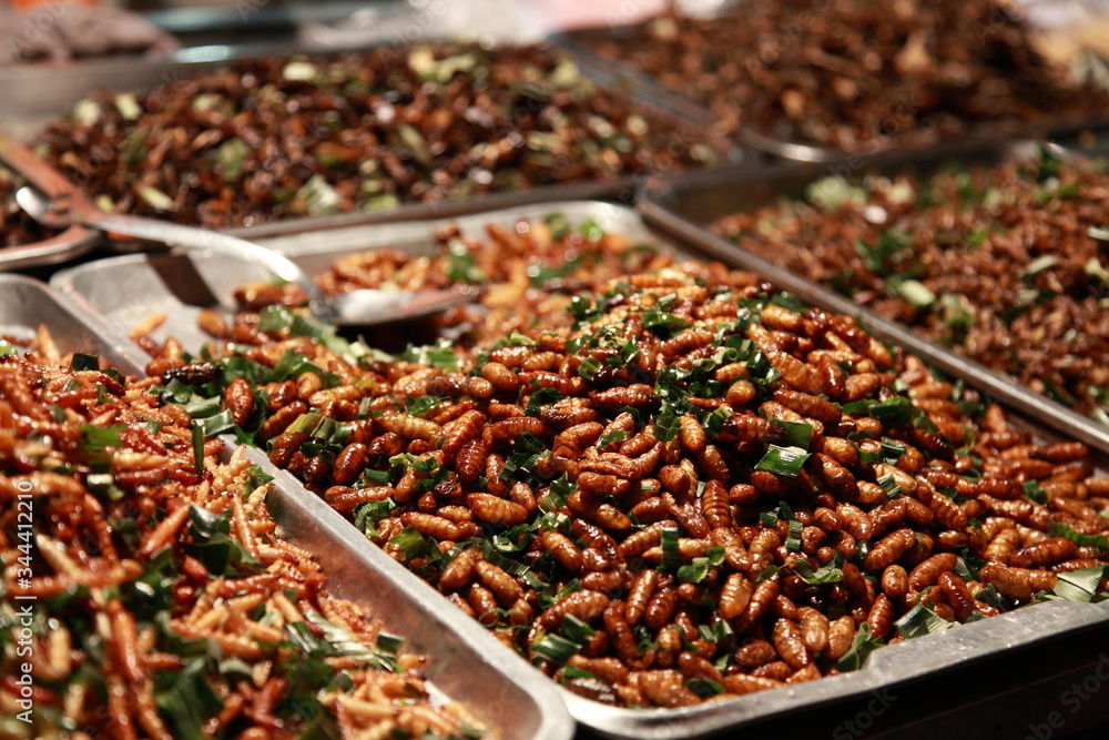 Thai food with insects