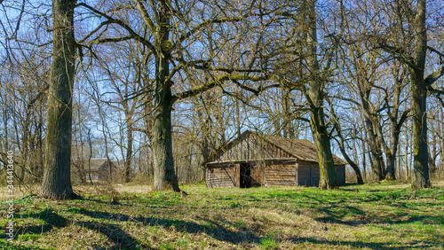 Horizontal image of an old rustic abandoned house and trees. Countryside concept. Space for text.