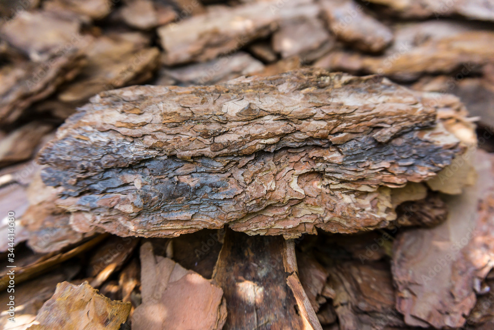 Tree bark for decoration and mulching in landscape design. Tree bark texture macro background close-up.