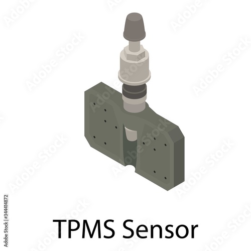 TPMS sensor icon. Isometric of TPMS sensor vector icon for web design isolated on white background