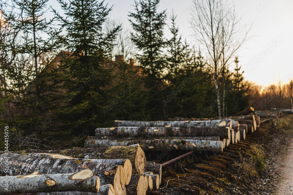 Fototapeta premium Logs on old train tracks
