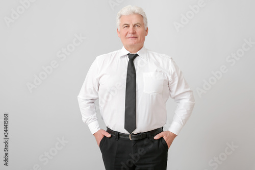 Portrait of handsome senior...