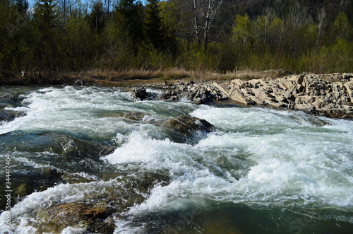 fast mountain river in the Carpathians