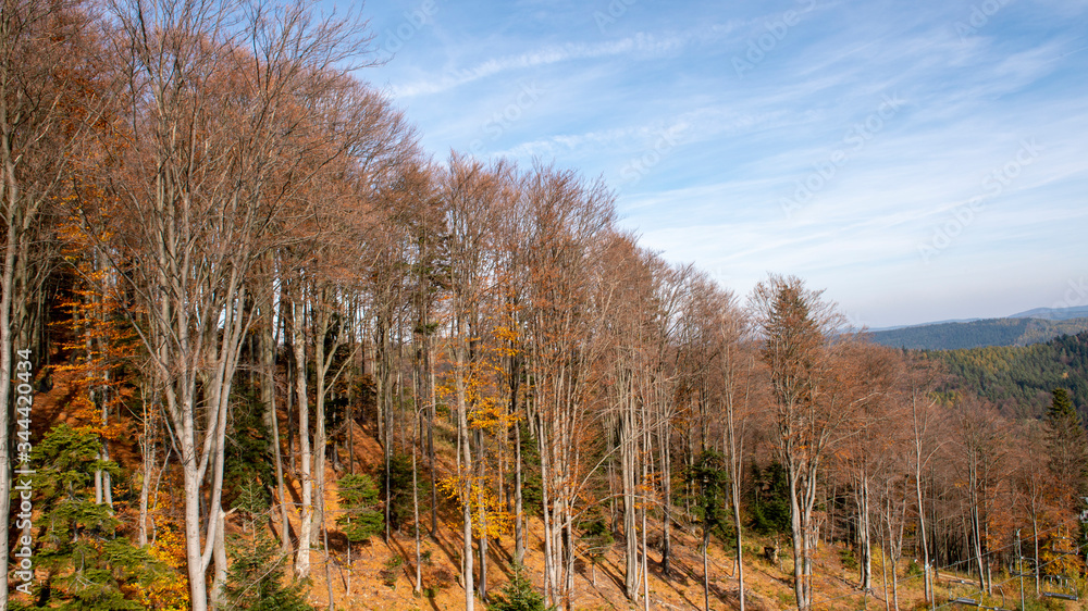 Mountain Jaworzyna Krynicka in Beskid Sądecki Mountain Jaworzyna Krynicka in Beskid Sądecki