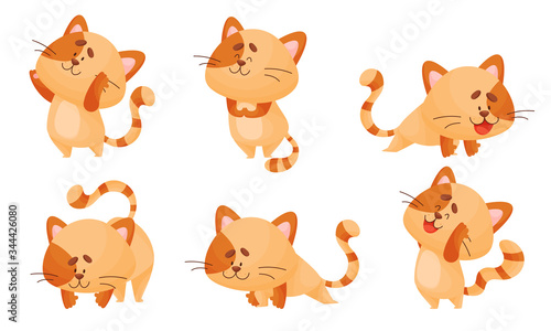 Cartoon Cat with Striped Tail Standing in Yoga Pose Vector Set