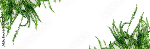 Banner made from fresh herbs on white background.