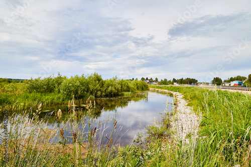 Fototapeta Naklejka Na Ścianę i Meble -  View of the lake water from the coast with trees and greenery, the horizon and blue sky with white clouds