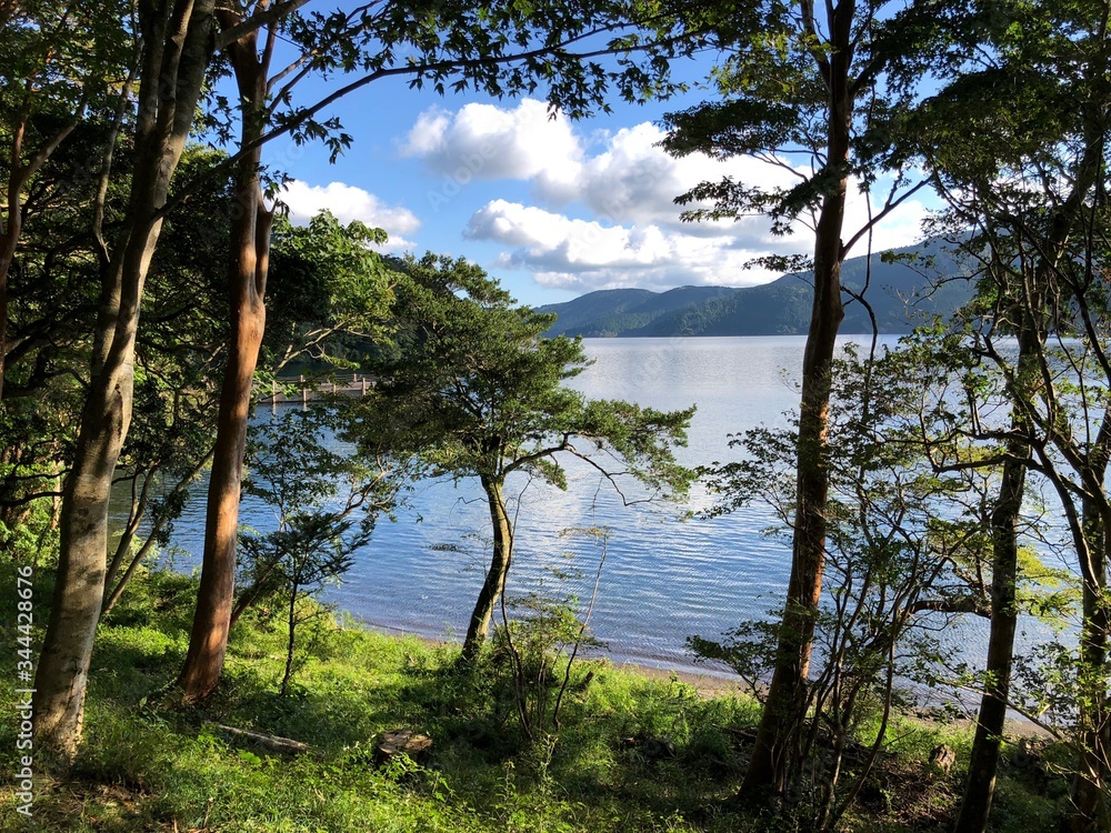 箱根の森と湖１