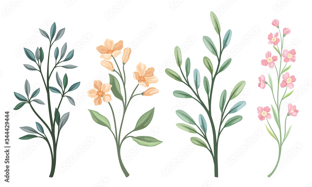 Floral Twigs and Branches with Tender Flower Buds and Leaves Vector Set Floral Twigs and Branches with Tender Flower Buds and Leaves Vector Set