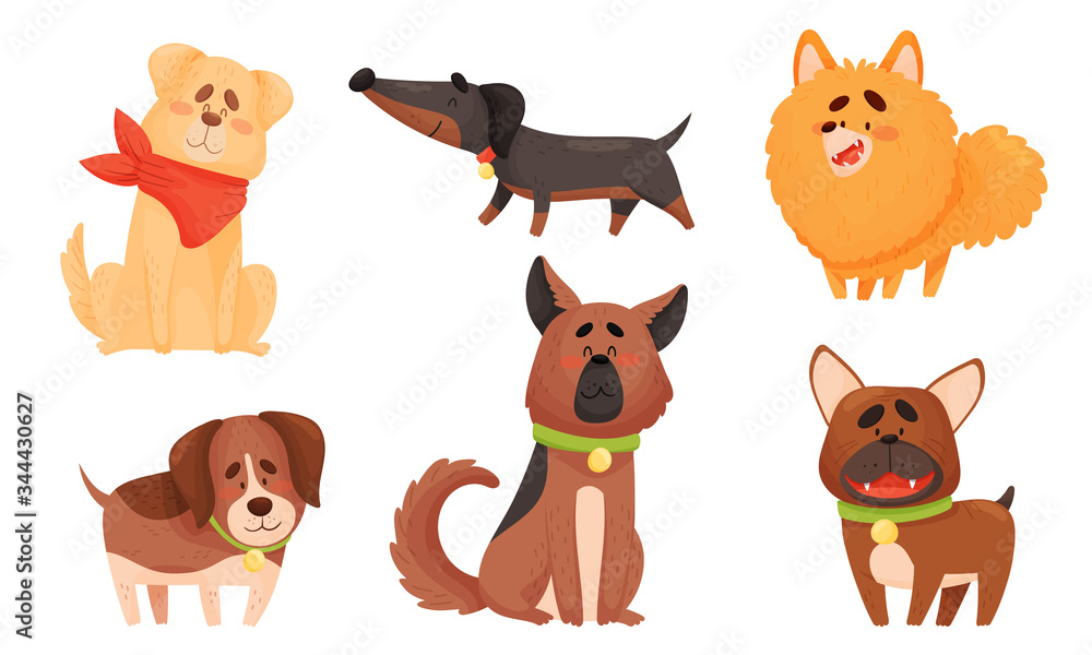 Funny Dogs in Sitting and Standing Poses Vector Set