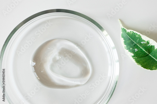 Close-up transparent shampoo gel smudge in glass petri dish and leaf on white background. Concept making natural organic cosmetics. Purity facial cleanser, peeling or shower gel