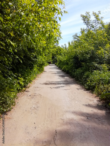 pedestrian path on the alley with bushes. Beauty in the village. old road photo