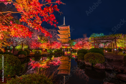 京都　東寺の紅葉　夜景 photo