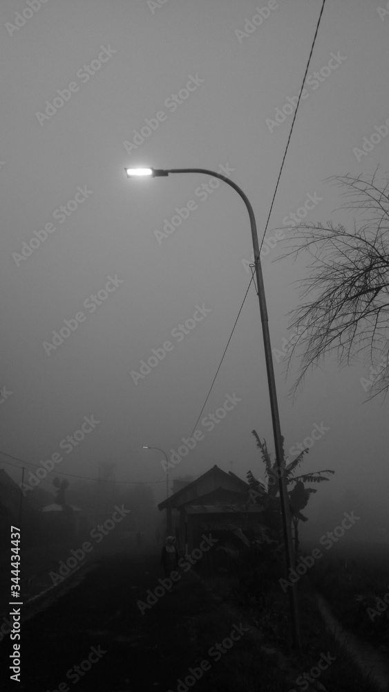 Obraz premium fog on the road. black-white photo Street lights on a foggy road.