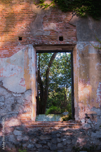 ventana a la naturaleza