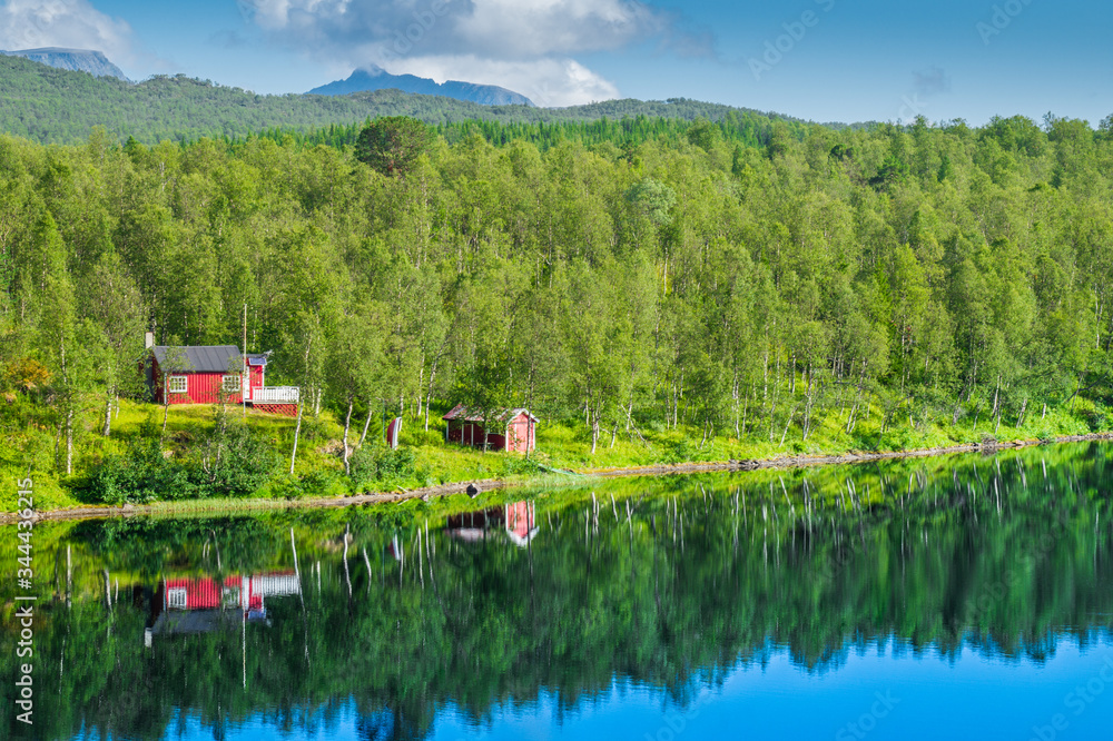 house in the forest at lake with nice blue colored water and green trees during a sunny day