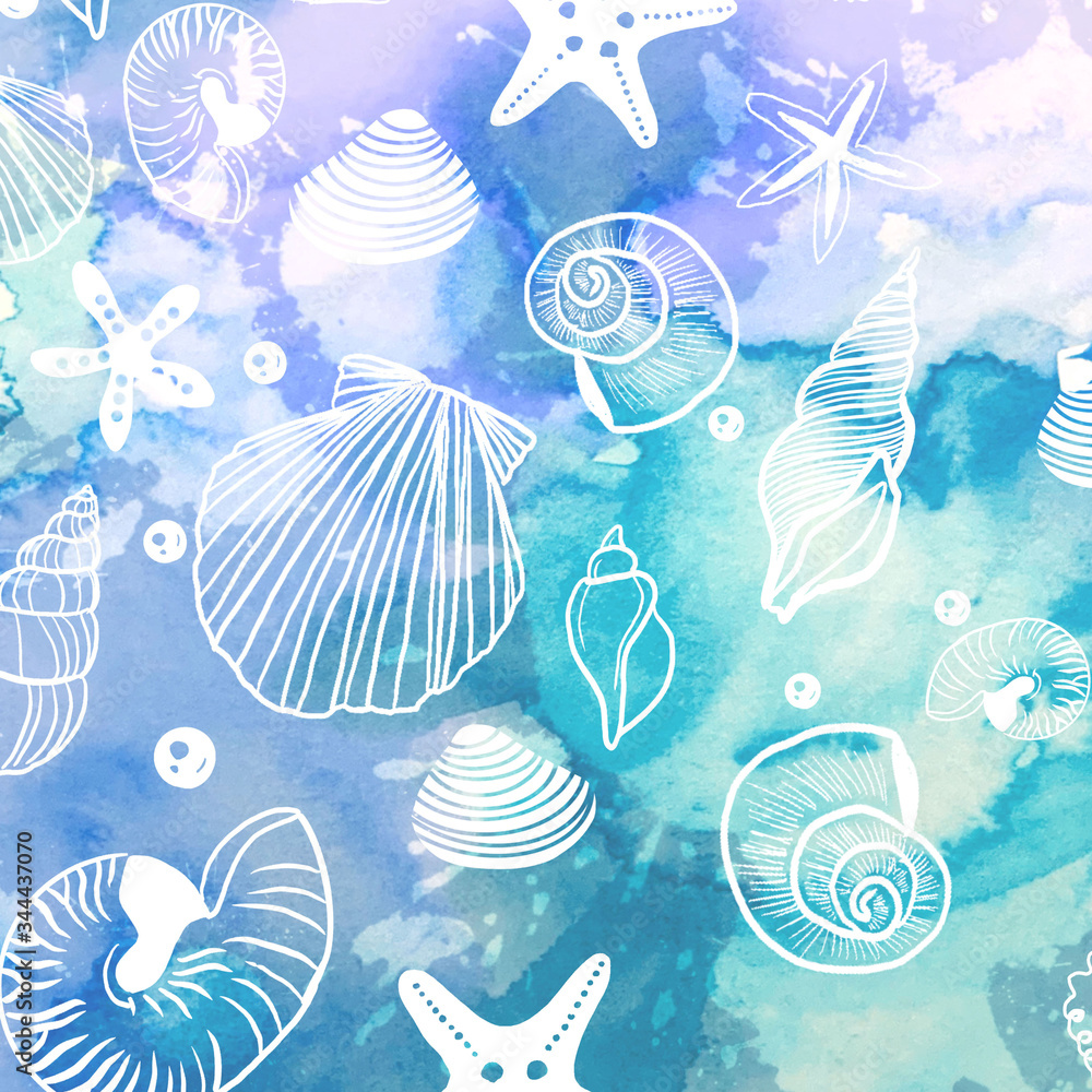 海の貝殻のイラスト Stock Illustration Adobe Stock