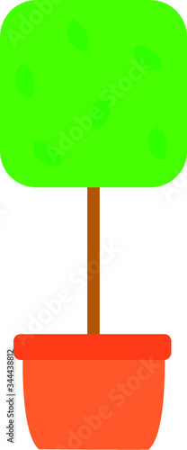 Simple Colored Illustration of a Japanese Bonsai Tree photo