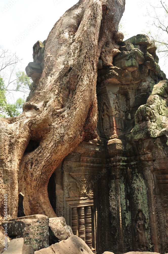 Cambodia Angkor Wat Journey