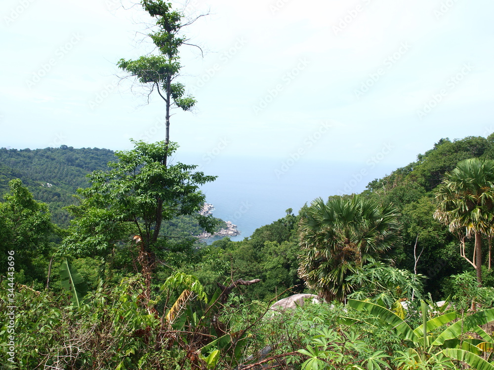 Obraz premium View from the mountain to the jungle, sea and sky