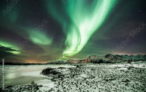 polar lights also called northern lights or aurora borealis in northern norway during winter above a fjord and snow covered mountains © stalmphotos