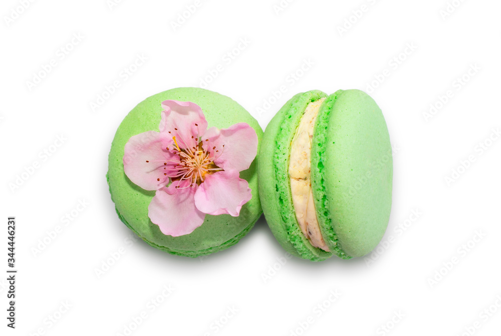 Macaroons isolated on a white background with spring flower Macaroons isolated on a white background with spring flower