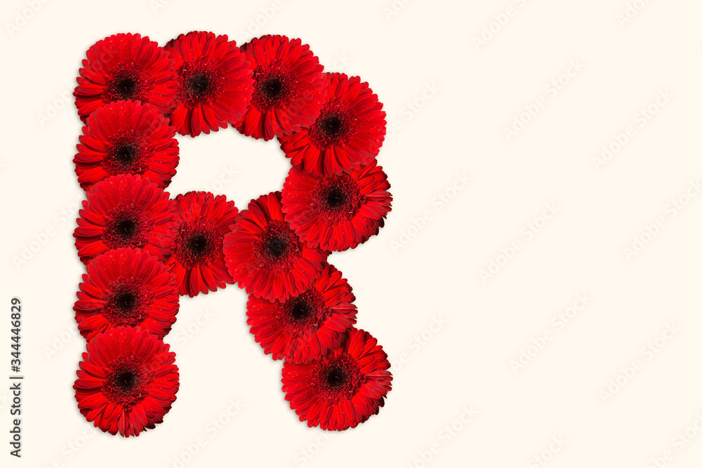 Letter R Daisy flower alphabet on isolated background. Decorative Floral Letter Letter R Daisy flower alphabet on isolated background. Decorative Floral Letter