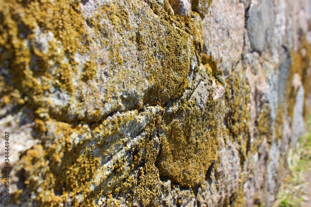 Stone wall covered with lichen. Stone background covered with lichen.