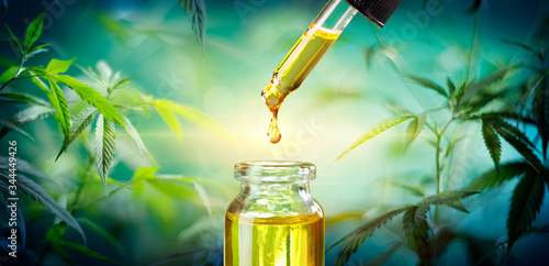 Hemp Oil - Medical Marijuana Products - Cbd And Hash Oil - Alternative Medicine
 photo