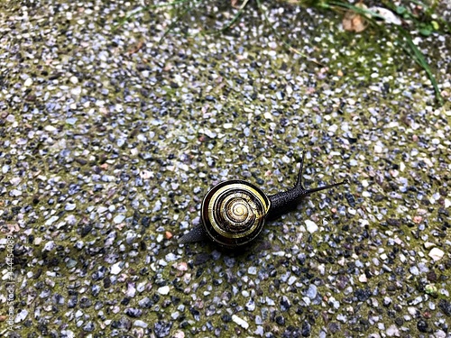 Slow life
