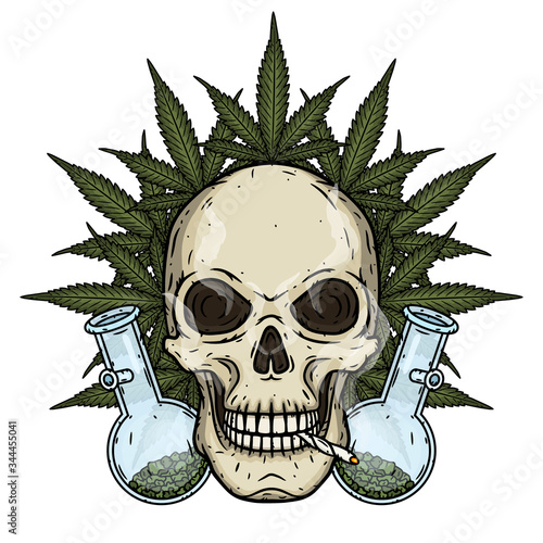 Skull. Skull with bong and marijuana leaves. Rastaman skull with cannabis leafs and spliff.