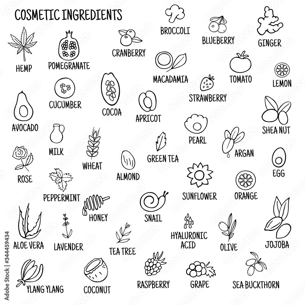 Cosmetic ingredients. Hand-drawn icons of herbs, fruits, vegetables, flowers, oils. Collection of vector icons.
