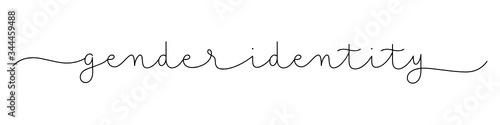 GENDER IDENTITY black vector monoline calligraphy banner with swashes