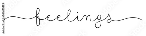 FEELINGS black vector monoline calligraphy banner with swashes