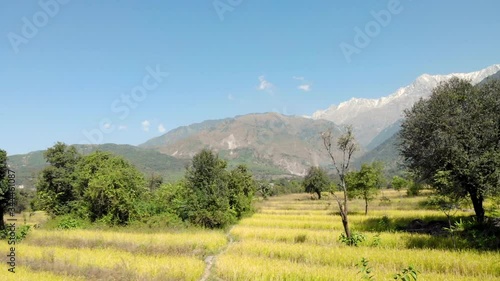 Sobrevolando campo dorado un dia soleado en el Himalaya